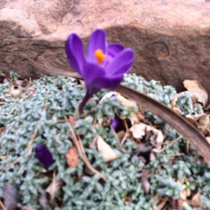 Meet your Posher, Flynn